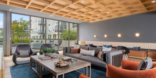 Alta Potrero Gallery 12