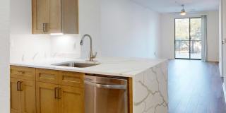 The Residences at the Domain Gallery 11