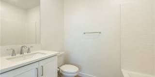 258 Sash Gallery 5