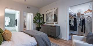 The Lola The Lola Gallery 11