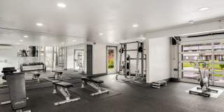 Driftwood Gallery 13