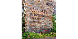 Elán Avante Apartment Homes Gallery 26