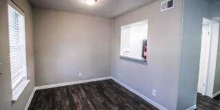 Spring Pine Gallery 27