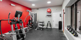 Red Lion Gallery 3