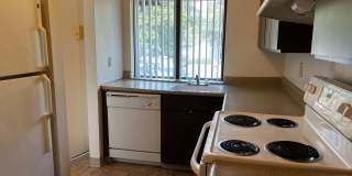 Willamette Green Apartments Gallery 10