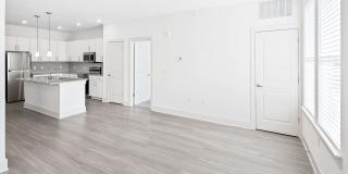 The Vandy Apartments Gallery 10