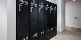 Next on Sixth Gallery 38