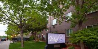 Windsong Gallery 14