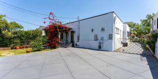 537 N Poinsettia Pl Gallery 20