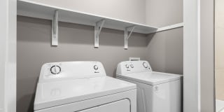 German Oaks Gallery 14