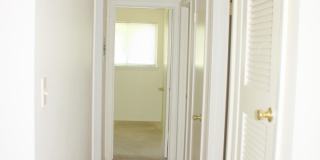 3 BR / 1 BA House off Shoal Creek/Steck! Gallery 1