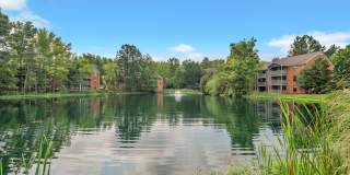 Turtle Lake Gallery 26