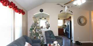 1068 Windmeadows Drive Gallery 2