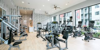 Met on 7th Gallery 10