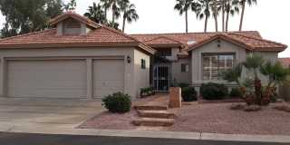 10537 E CEDAR WAXWING Drive Gallery 1