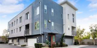 249 Steely Gallery 1