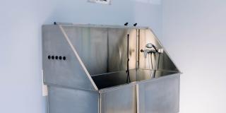 4426 Gold Flower Loop - 3D2 Gallery 15