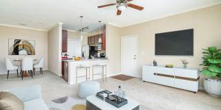 Reserve (Johnson City) Gallery 18