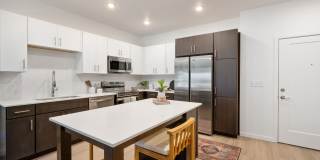 Vine at Panorama Gallery 5