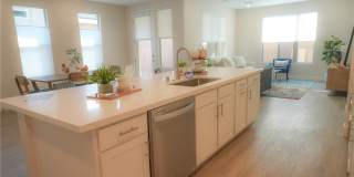 4123 Lemonsage Street Gallery 7