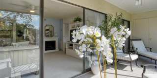 4616 RINGWOOD MEADOW Gallery 15