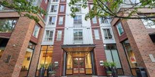 Leva on Market Gallery 31