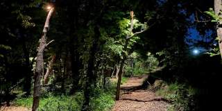 The Bungalows on the Lake - The View Gallery 390