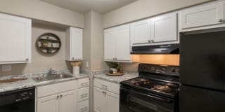 Aspen Village Gallery 16