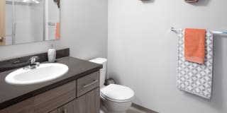 The Bailey at Amazon Creek Apartments Gallery 6