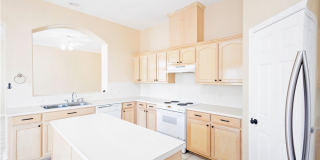 13702 Seahorse Gallery 18