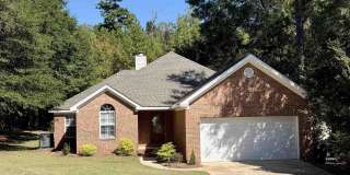 4079 Forsythe Way 4079 Forsythe Way Gallery 1
