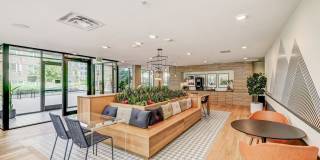 Parkside Esterra Gallery 30