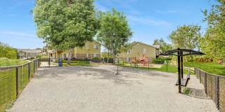 PeakView at T-Bone Ranch Apartments Gallery 11