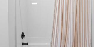 The Fox & The Grouse Gallery 23