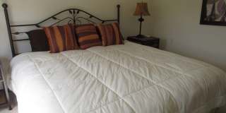 10537 Washingtonia Palm Way Gallery 20