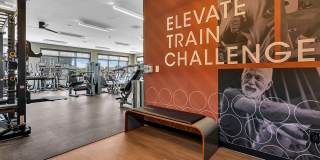 Ewing Town Center Gallery 25