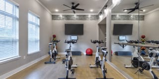 Vintage Amelia Island Apartments Gallery 102