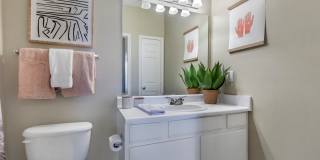 Preserve at Bartlett Gallery 29