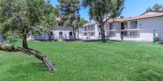 Tides on McDowell Gallery 11