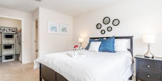 Autumn Wood Gallery 6