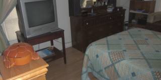 914 Stetson Gallery 5