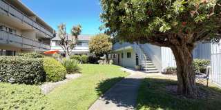 339 Broadway #215 - 30% Rental Fee Gallery 37