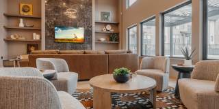 Calypso Gallery 27