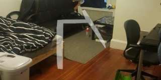 Beautiful 3 Bed/ 1 Bath Available 9/1/26 Gallery 6