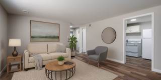 Jasmine Springs Gallery 1