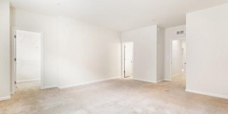 20532 MILBRIDGE Terrace Gallery 18
