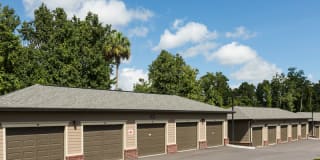Bell Lake Forest Gallery 23