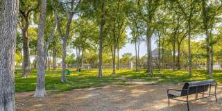 Thornbury at Chase Oaks Gallery 20