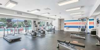 Maple Bay Gallery 13