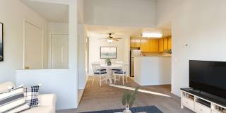 Lakeshore Apartments Gallery 5